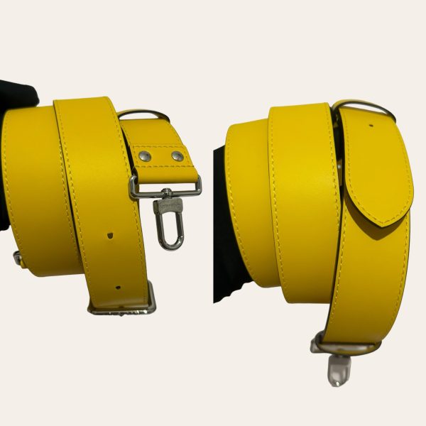 Louis Vuitton Papillon Trunk Epi Crossbody Bag