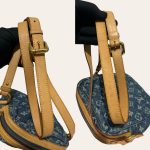 Louis Vuitton Denim Camera Crossbody Bag