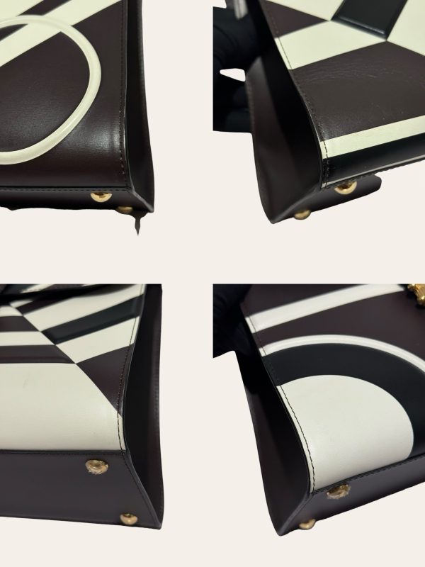 Delvaux Brillant MM Limited Edition *No Strap*