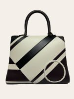 Delvaux Brillant MM Limited Edition *No Strap*