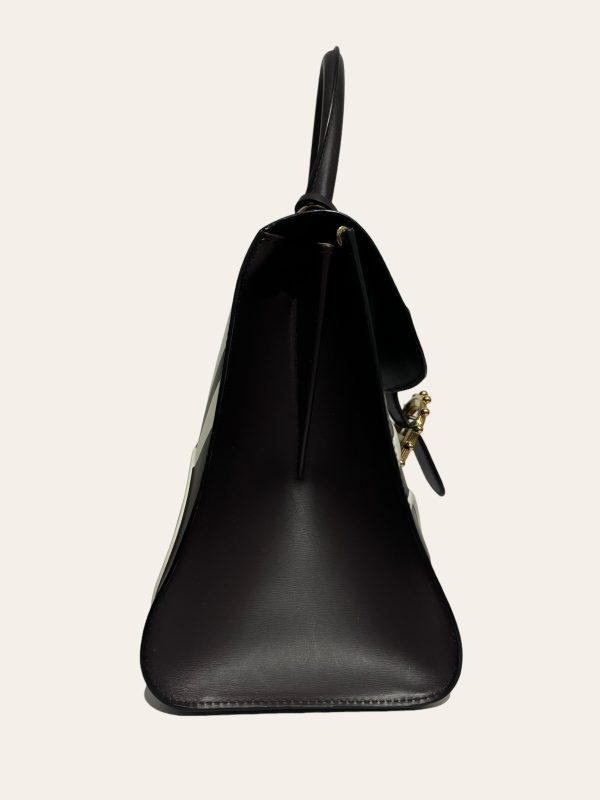 Delvaux Brillant MM Limited Edition *No Strap*