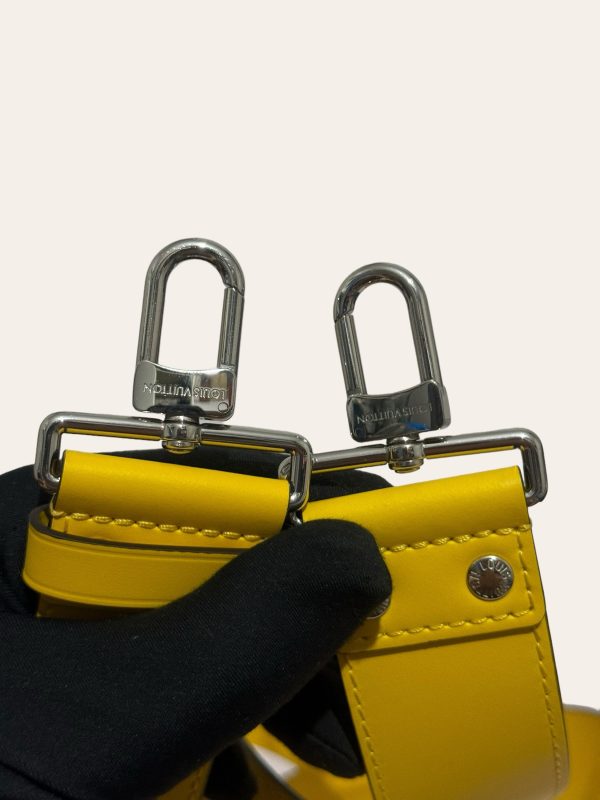 Louis Vuitton Papillon Trunk Epi Crossbody Bag