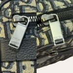 Dior Mini Safari Bag with Strap