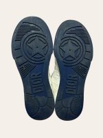 Dior Oblique B27 Low Top Sneaker
