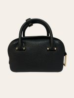 Delvaux Nano Cool Box