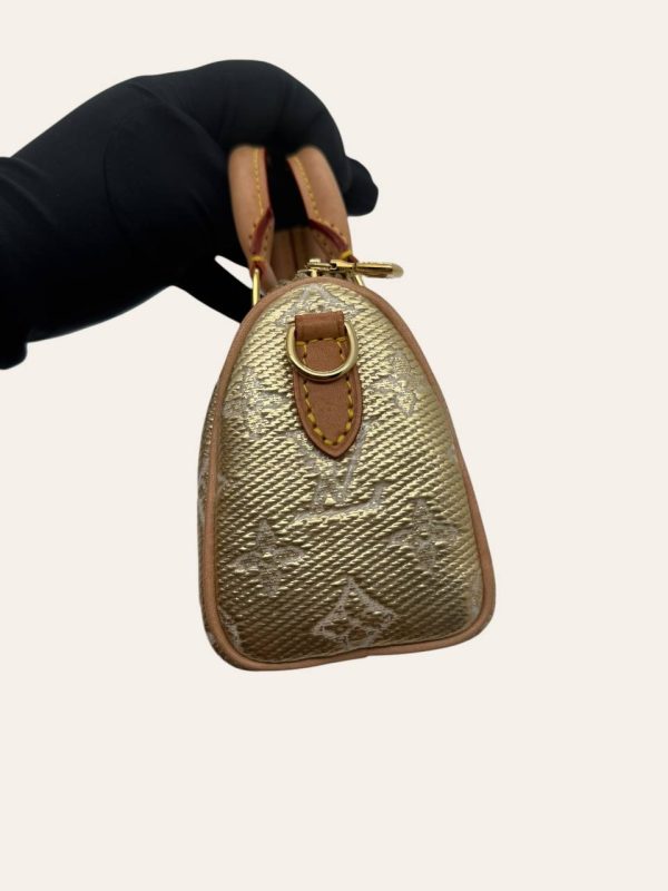Louis Vuitton Nano Speedy