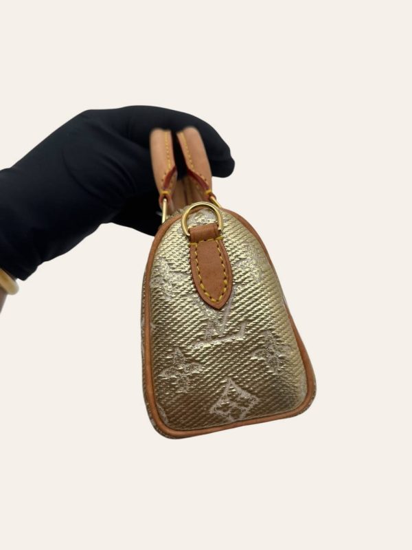 Louis Vuitton Nano Speedy