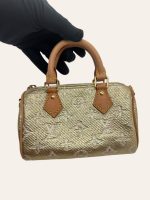 Louis Vuitton Nano Speedy