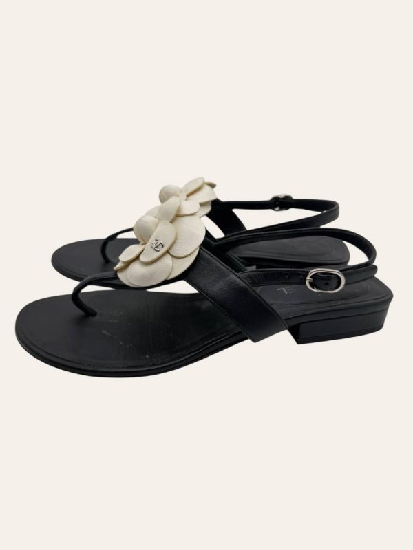 Chanel Camellia Sandal Size 36.5