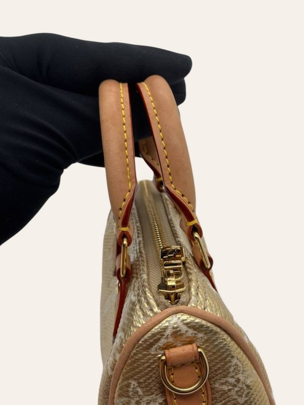 Louis Vuitton Nano Speedy