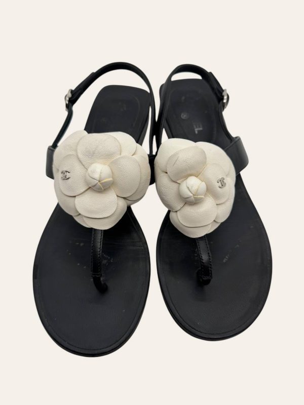 Chanel Camellia Sandal Size 36.5