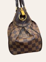 Louis Vuitton Trevi PM Damier Ebene