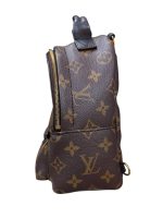 Louis Vuitton Mini Palm Springs Backpack