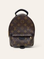 Louis Vuitton Mini Palm Springs Backpack