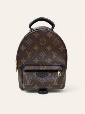 Louis Vuitton Mini Palm Springs Backpack