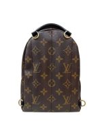 Louis Vuitton Mini Palm Springs Backpack