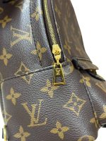 Louis Vuitton Mini Palm Springs Backpack
