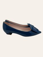 Roger Vivier Pumps Size 37