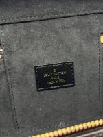 Louis Vuitton Vanity Chain Pouch