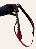 Christian Louboutin Crossbody Clutch
