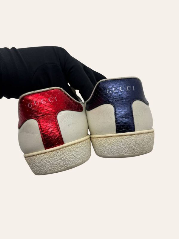 Gucci Tiger Ace Sneaker Size UK 7.5 / EU 41.5