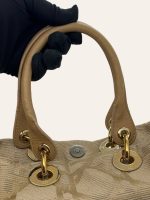 Dior Cannage Tote