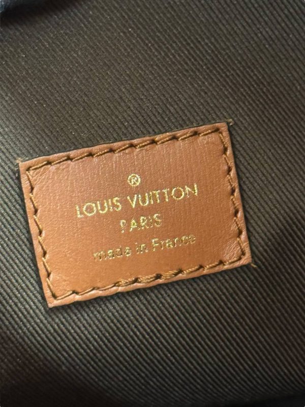 Louis Vuitton Loop Hobo Monogram Bag