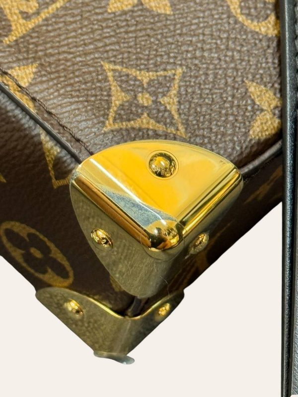 Louis Vuitton Camera Box Bag