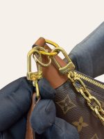 Louis Vuitton Loop Hobo Monogram Bag