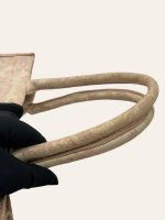 Dior Large Book Tote