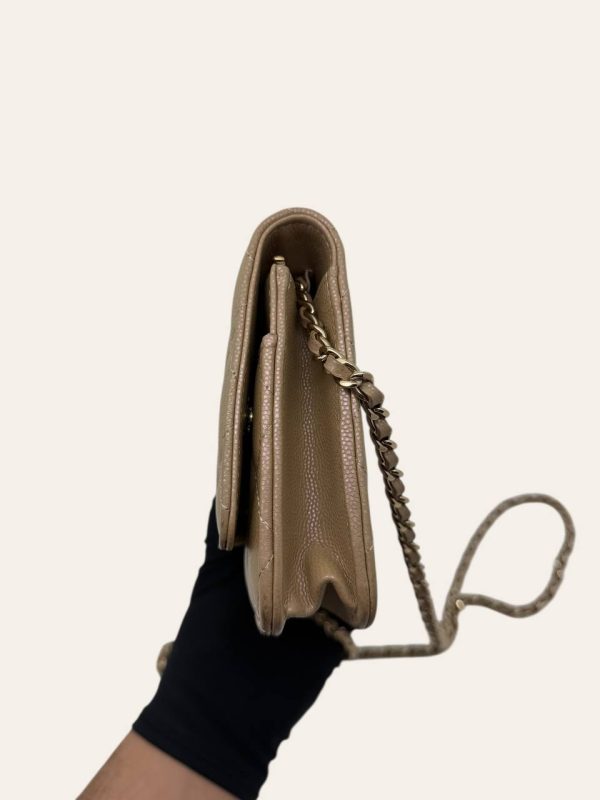 Chanel Wallet on Chain in Caviar