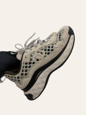 photo_1_2026-01-12_02-39-35