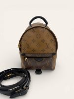 Louis Vuitton Palm Springs Mini Backpack