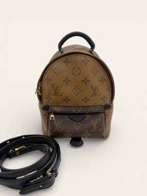 Louis Vuitton Palm Springs Mini Backpack