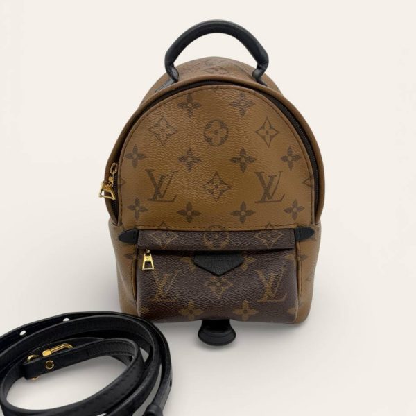 Louis Vuitton Palm Springs Mini Backpack