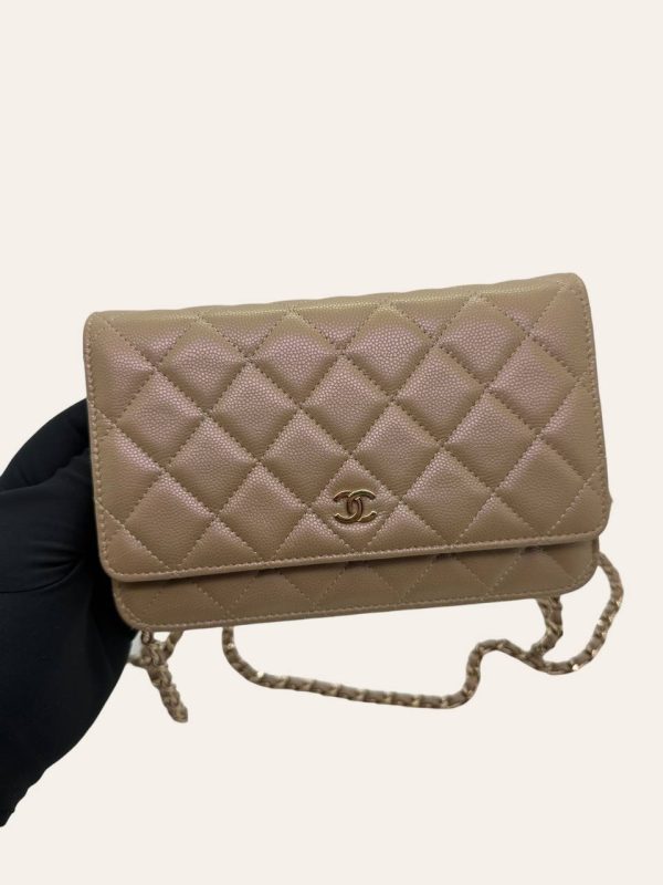 Chanel Wallet on Chain in Caviar
