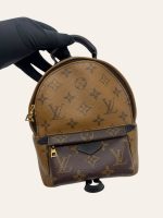 Louis Vuitton Palm Springs Mini Backpack