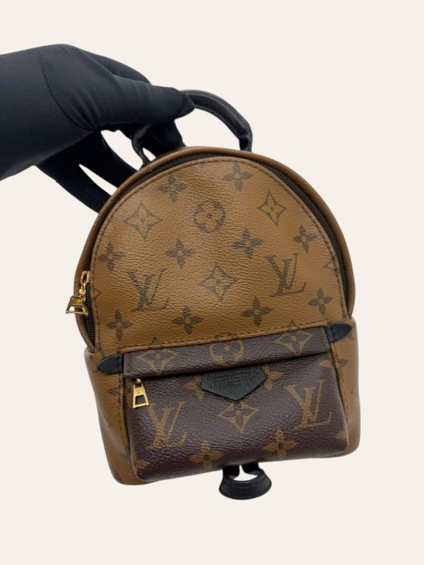 Louis Vuitton Palm Springs Mini Backpack