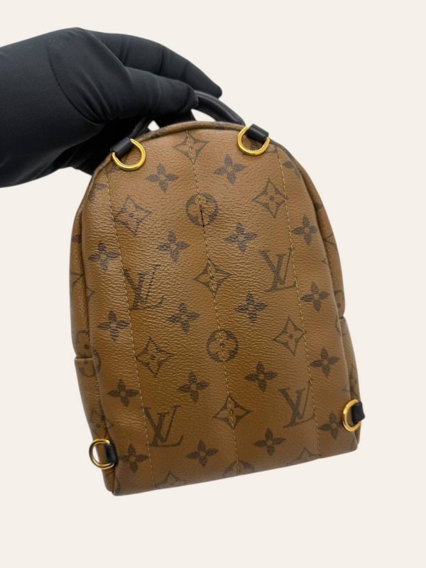 Louis Vuitton Palm Springs Mini Backpack