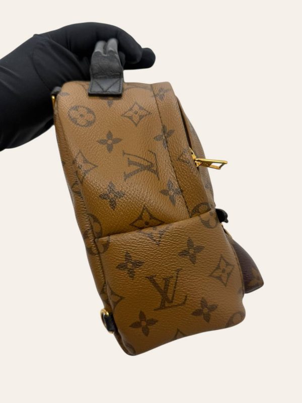 Louis Vuitton Palm Springs Mini Backpack