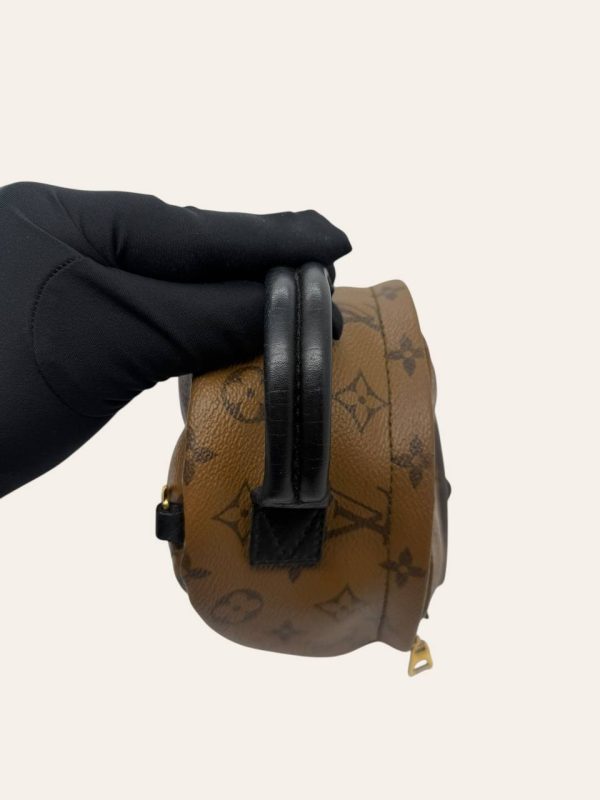 Louis Vuitton Palm Springs Mini Backpack