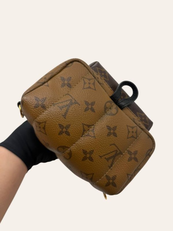 Louis Vuitton Palm Springs Mini Backpack