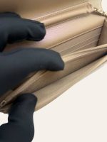 Chanel Wallet on Chain in Caviar