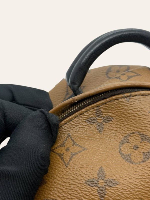 Louis Vuitton Palm Springs Mini Backpack